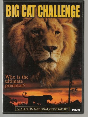 Big Cat Challenge