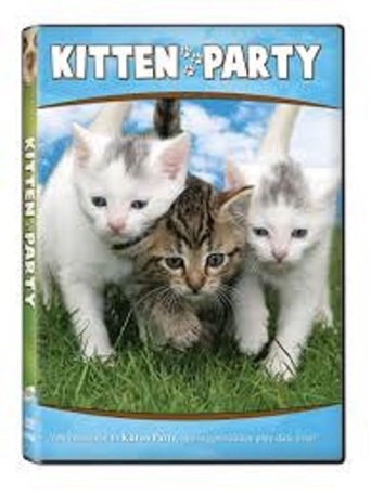 Kitten Party