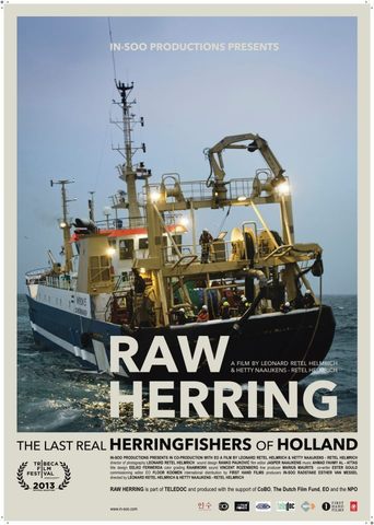 Raw Herring