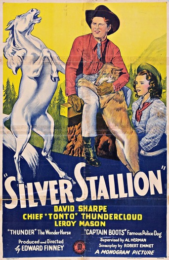 Silver Stallion