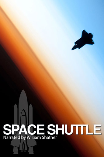 The Space Shuttle